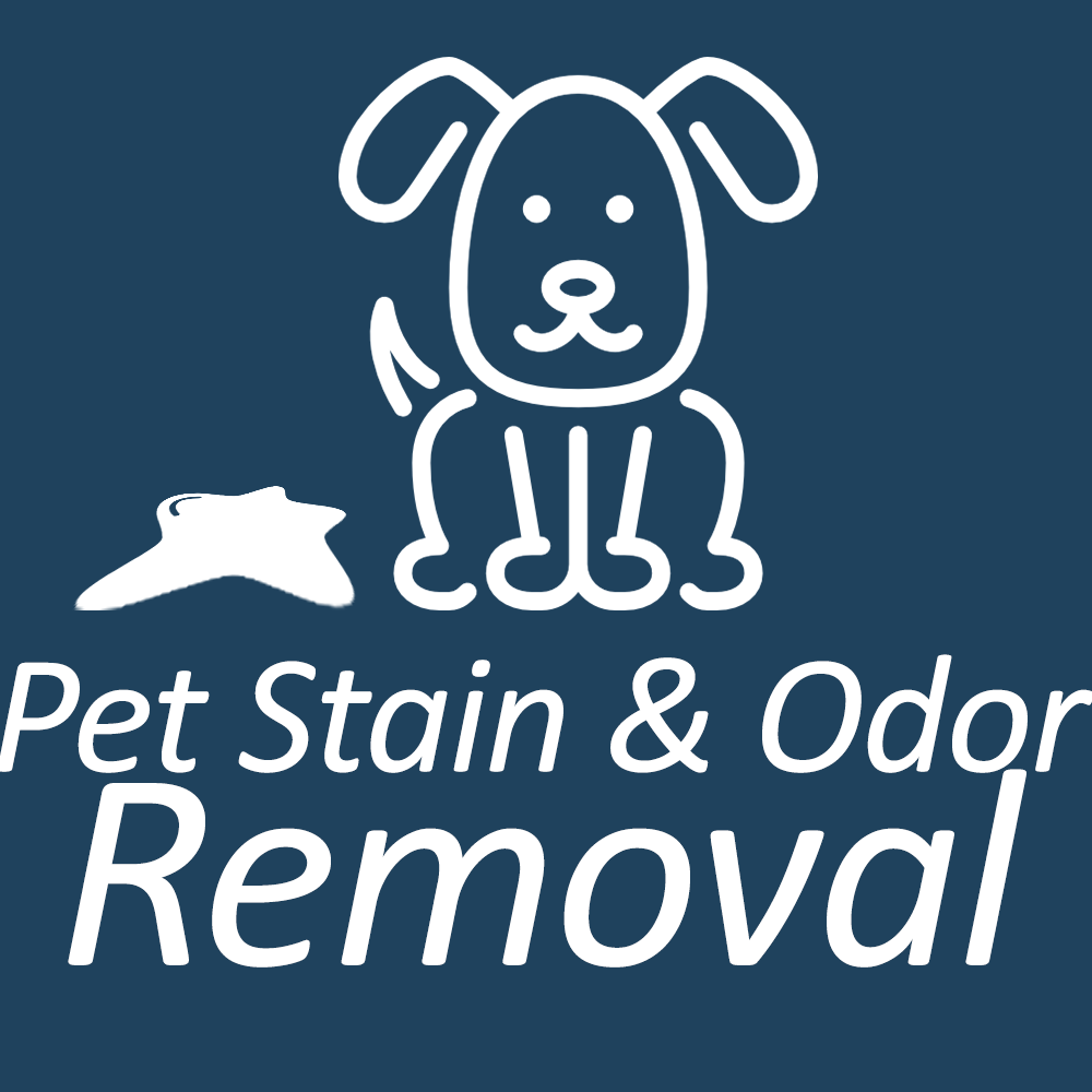 Pet Stain And Odor Removal Cleaning Services