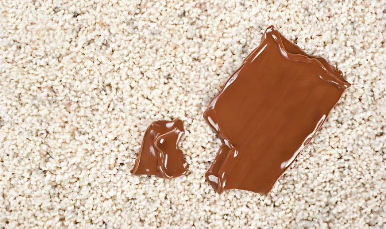How To Clean Chocolate From Carpet And Remove Odors
